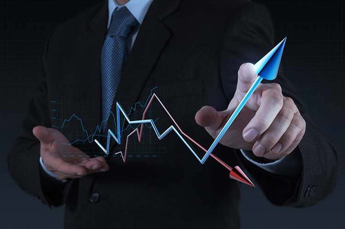 拓商之道 拼多多運(yùn)營(yíng)實(shí)戰(zhàn)攻略，告別“沒(méi)流量”困境的站內(nèi)推廣秘笈